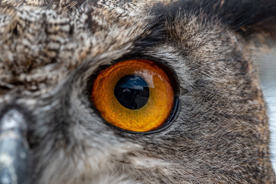 The Science of Color Perception: How Animals See the World Differently