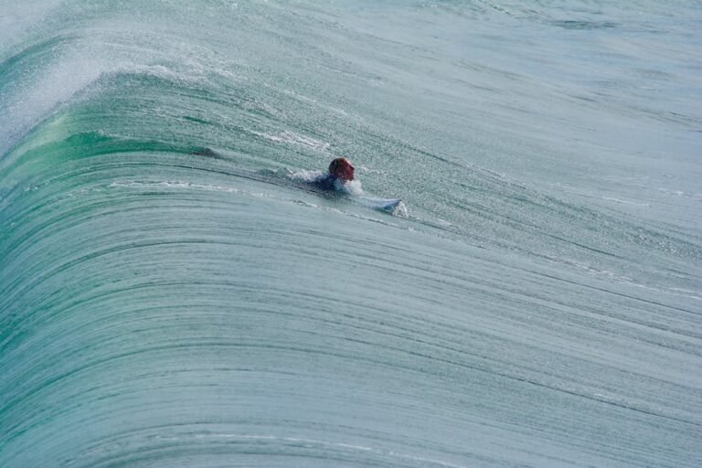 Surfing for Beginners: The Ultimate Guide to Catching Your First Wave in California