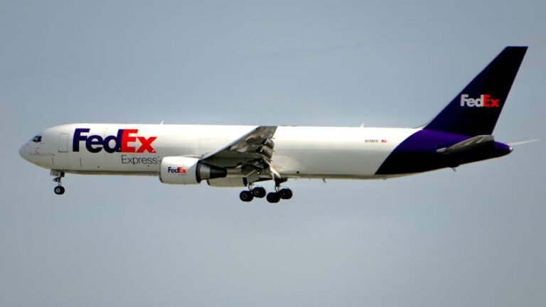 San Jose's Untold Skies: The Miraculous FedEx Flight 705 Survival Story