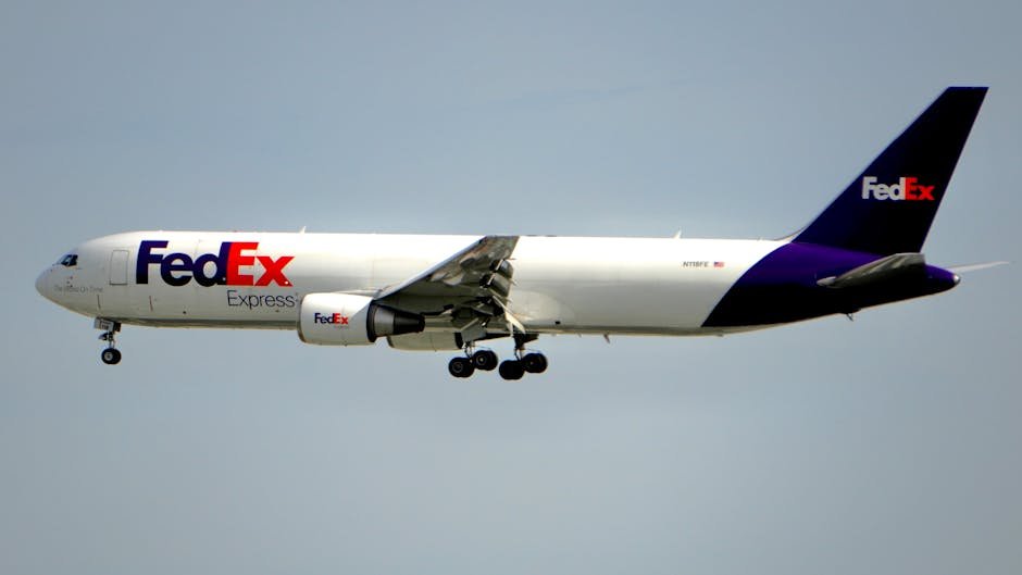 San Jose's Untold Skies: The Miraculous FedEx Flight 705 Survival Story