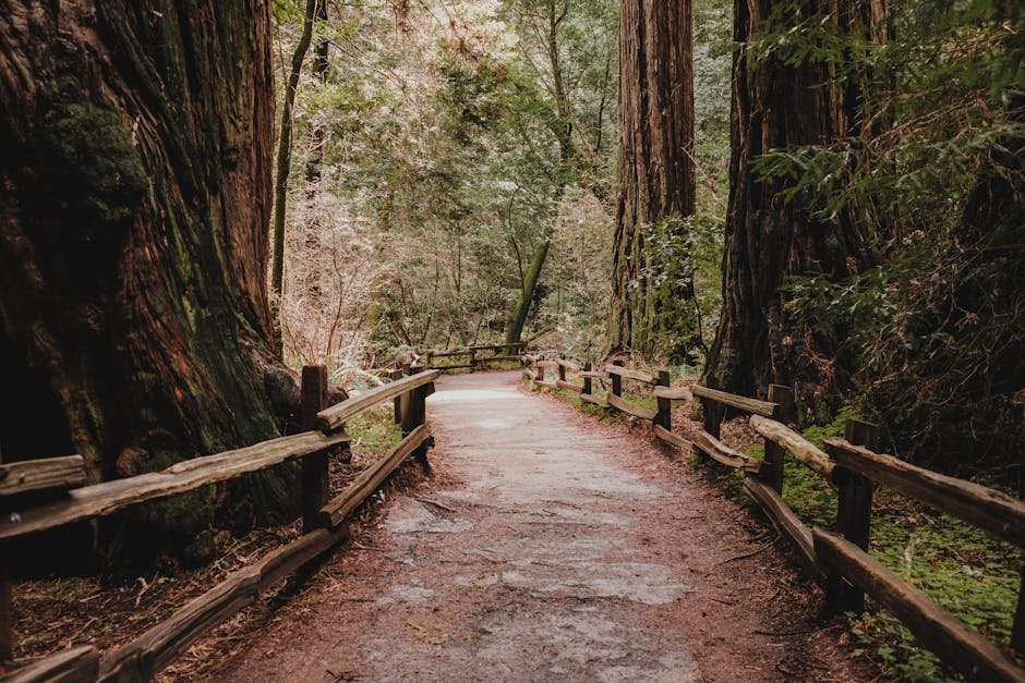 The Art of Authentic California Travel: Unplug, Explore, & Find Inner Peace