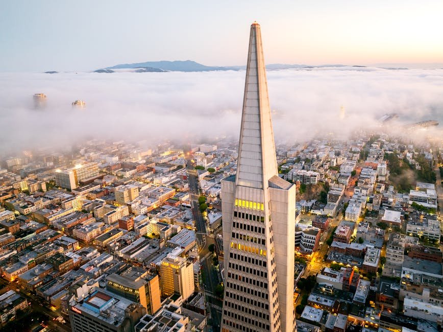 Explore California's Tech History: The Untold Story of Android from Silicon Valley