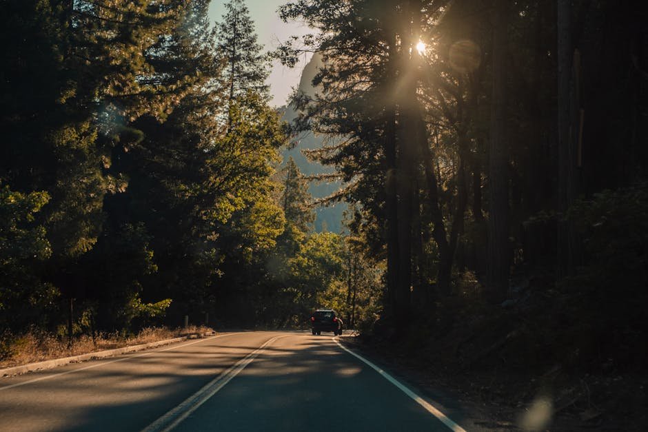 Master Your California Trip: Smart Automation for Seamless Travel Planning