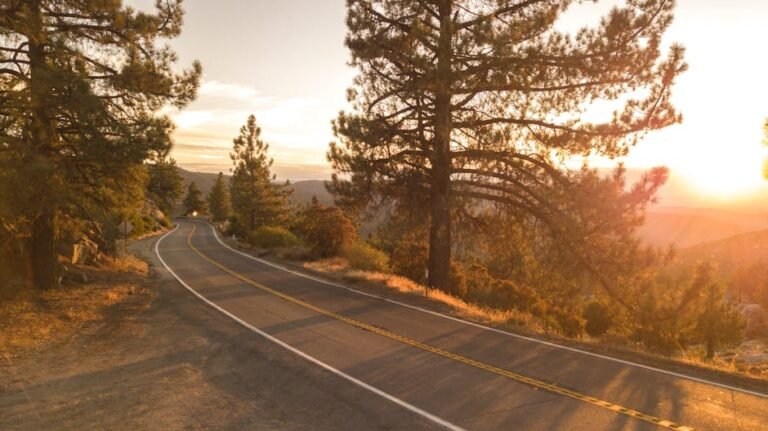 Your Essential California Travel Guide: Explore the Golden State