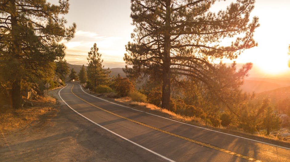 Your Essential California Travel Guide: Explore the Golden State