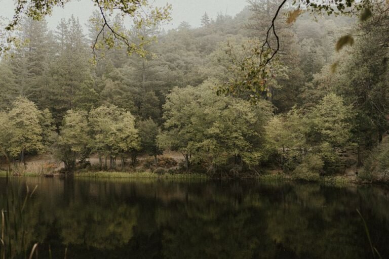 California's Quiet Corners: Finding Solitude and Inspiration Beyond the Spotlight
