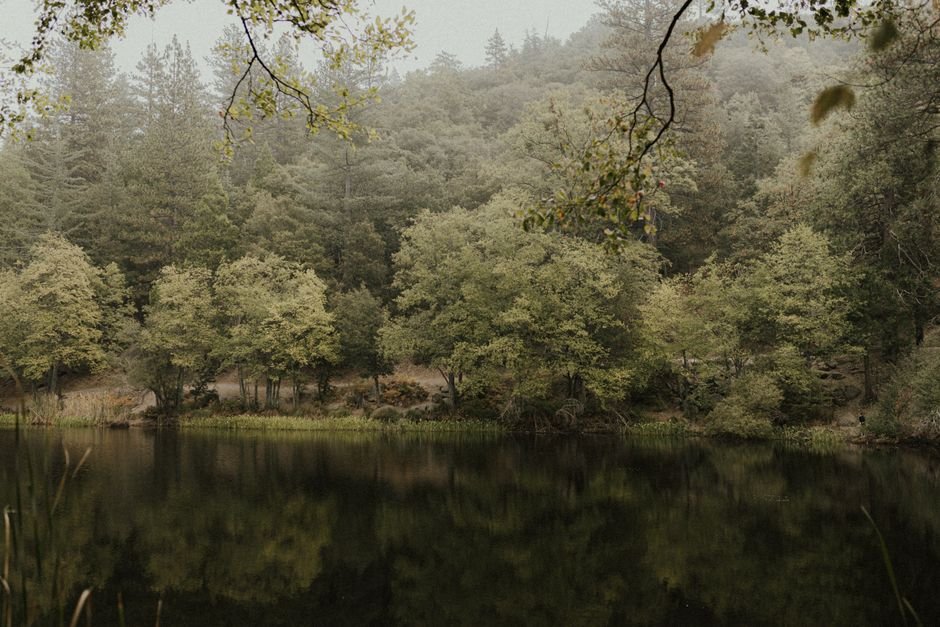 California's Quiet Corners: Finding Solitude and Inspiration Beyond the Spotlight