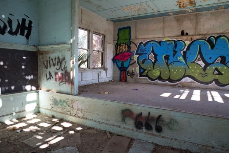 Deconstructing the California Dream: A Critical Look Beyond the Golden Facade