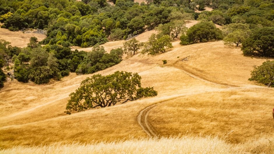 Jack London's California: Unveiling 'Martin Eden' and His Enduring Literary Legacy