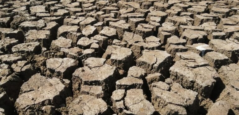Ethical Travel in California: Understanding Corporate Water Impact During Droughts