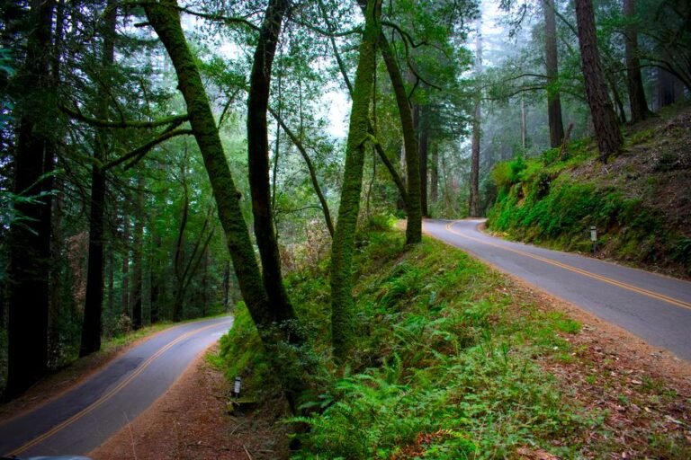 Beyond the Postcard: Unmasking Authentic California Travel Myths