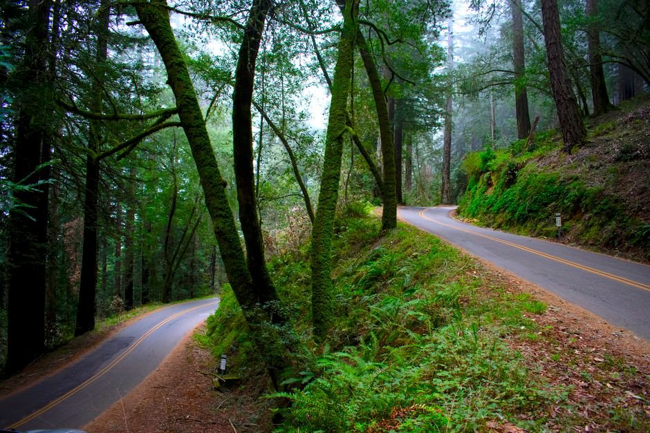 Beyond the Postcard: Unmasking Authentic California Travel Myths